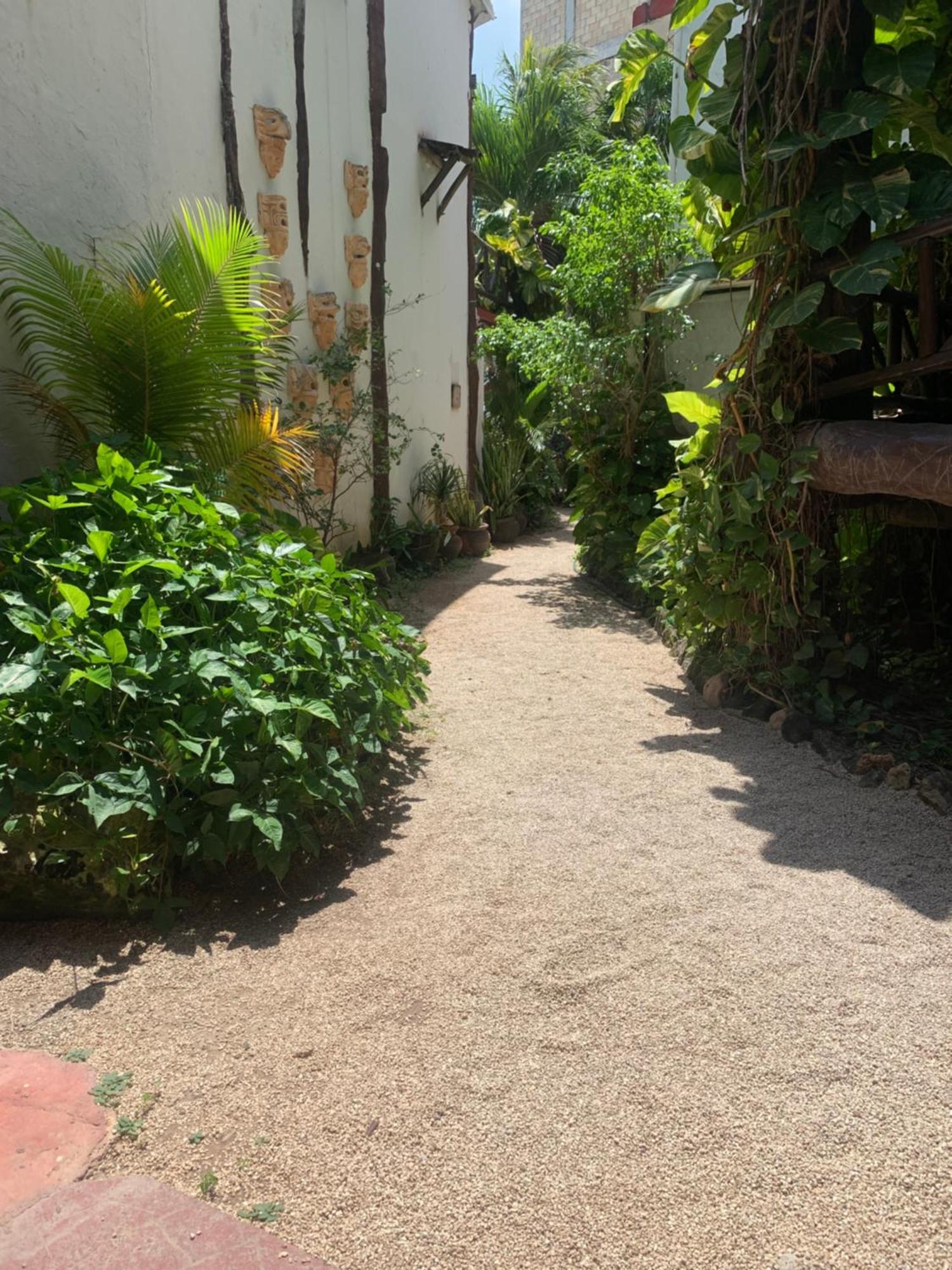 Casa Caribe Канкун Экстерьер фото A typical alleyway in Tulum