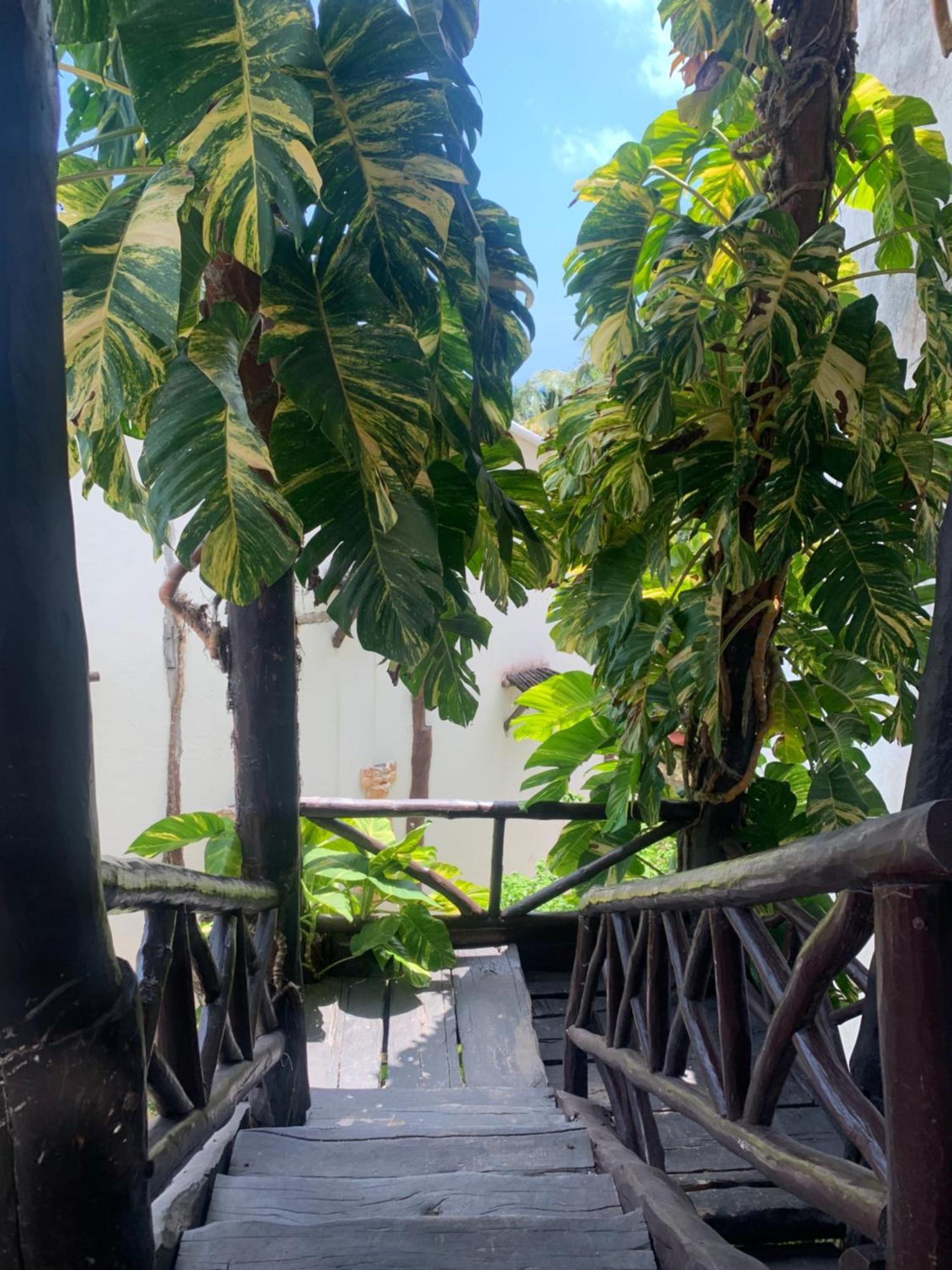 Casa Caribe Канкун Экстерьер фото A view of the garden